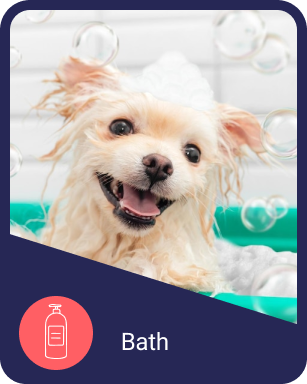 Odie’s Dog Bath